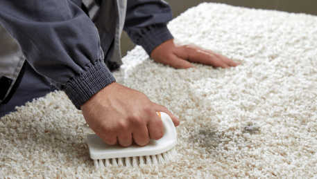 Professional Rug Cleaning Blackburn